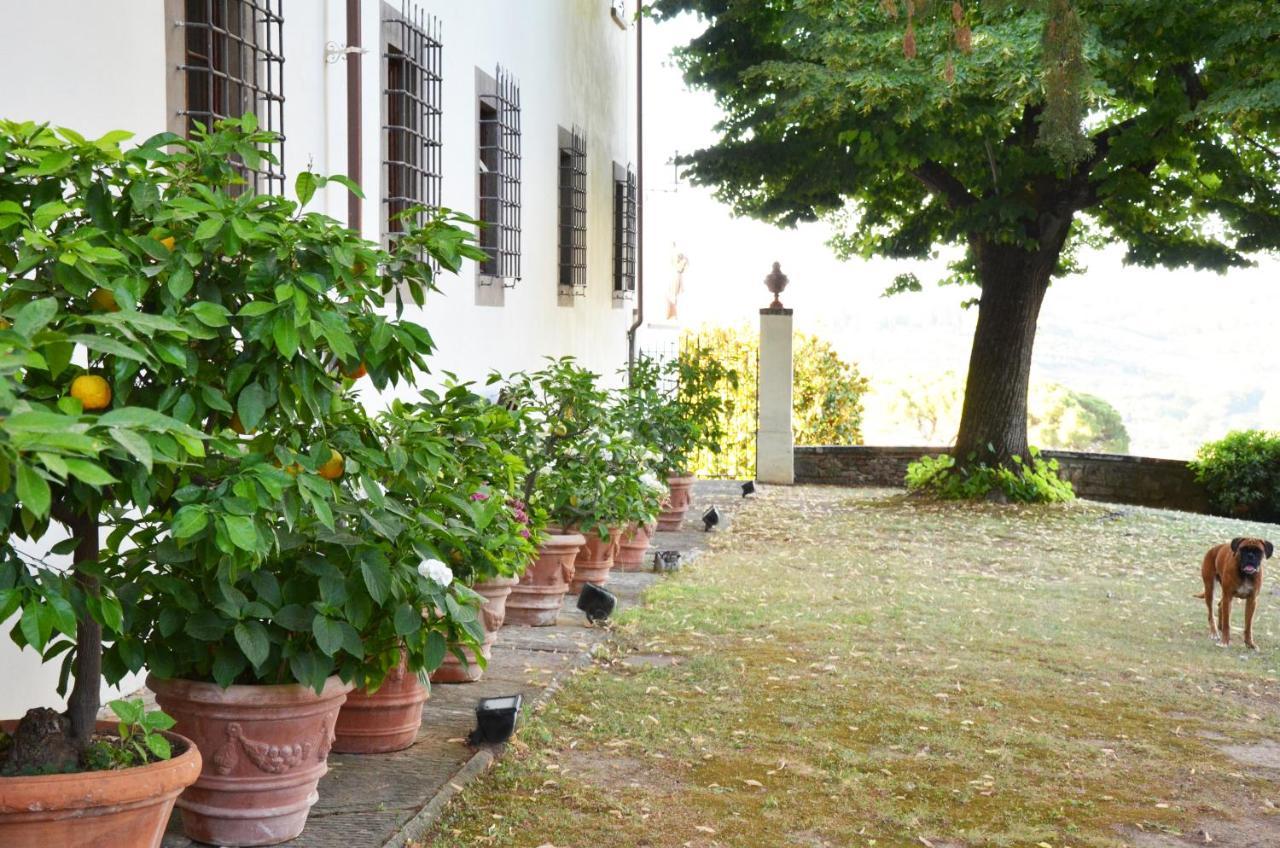 Podere Di Montecchio - Colleramole Appartamento